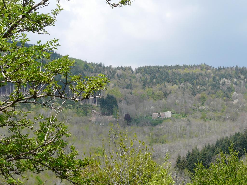Ardeche, 02-05-09, 12-01.jpg